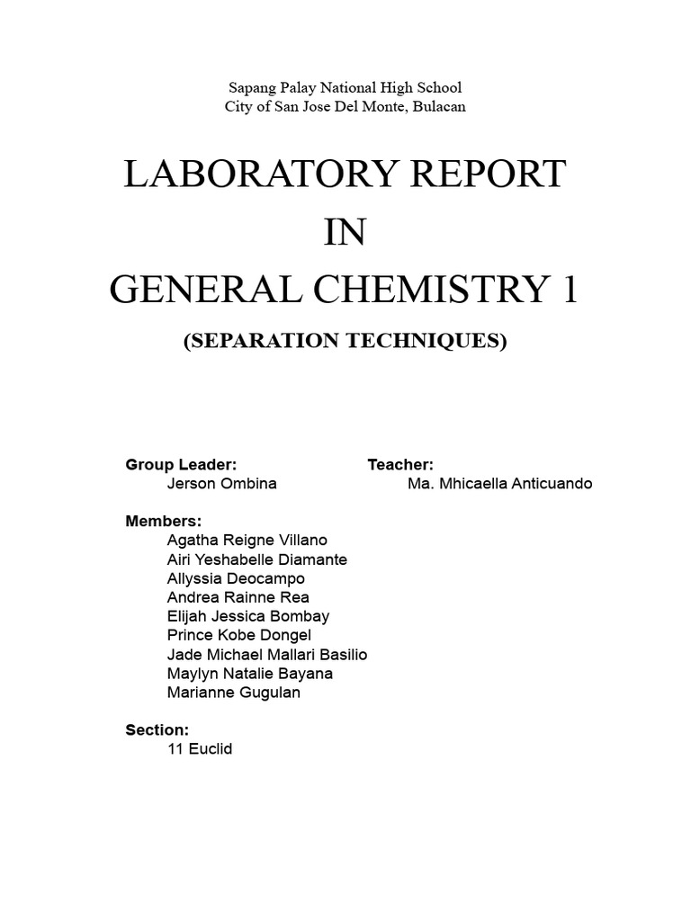 Gen Chem Lab Report PDF Filtration Chromatography