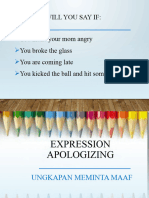 Expression Apologizing