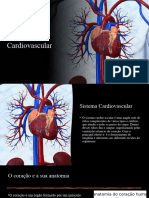 Slide Sistema Cardiovascular - Copiar