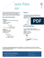 Acute Back Exercise