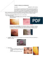 Lesiones Cutáneas de Leishmaniasis