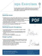 Quadriceps Exercises