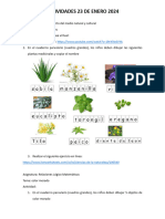 Actividades 23 de Enero 2024