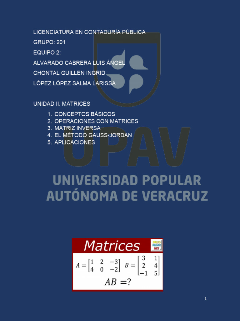Matrices LCP 201 | PDF | Matriz (Matemáticas) | Determinante