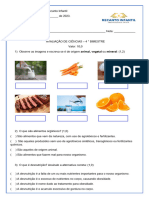 Avaliação de Ciências - 4 Bimestre 5 Ano