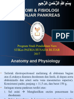 Anatomi & Fisiologi Kelenjar Pankreas