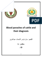 Blood Parasites of Cattle and Their Diagnosis