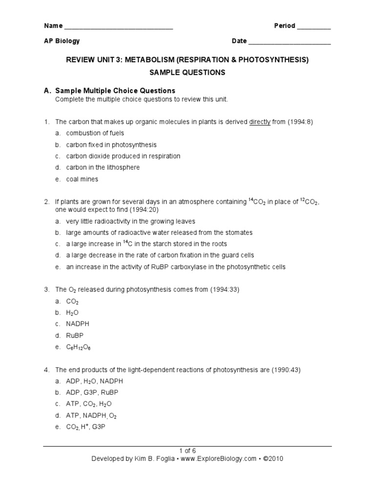 Ap bio unit 3 packet respiration and photosynthesis essay questions picture