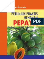 Pepaya
