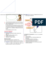 Impactos de Crecimiento para Segundo Grado de Secundaria