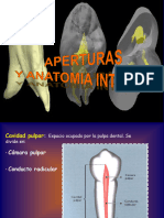 Aperturas y Anatomía Interna 4.