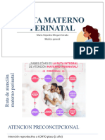 Ruta Materno Perinatal