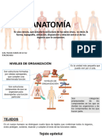 ANATOMÍA 3ro BGU