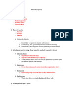 Muscular System Student Notes With Muscle List