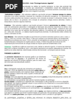 63351686-AULA-DIGESTAO