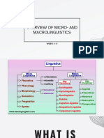 Overview of Micro Macro Linguistics