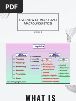 Overview of Micro Macro Linguistics