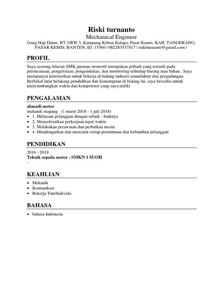 CV Riski Turnanto - Mechanical Engineer | PDF | Bisnis