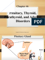 Pituitary Thyroid Parathyroid and Adrenal Disorders