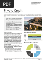 An Introduction To Private Credit 1692229676