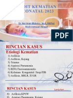 Audit Kematian Neonatal 2023