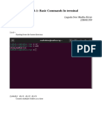 1 Basic Commands
