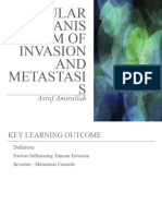 Cellular Invasion & Metastasis