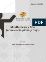 GD - CEP.Mindfulness y Flow (Conciencia Plena y Flujo)