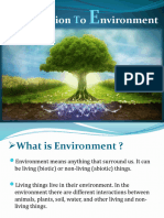 Introduction To Environment