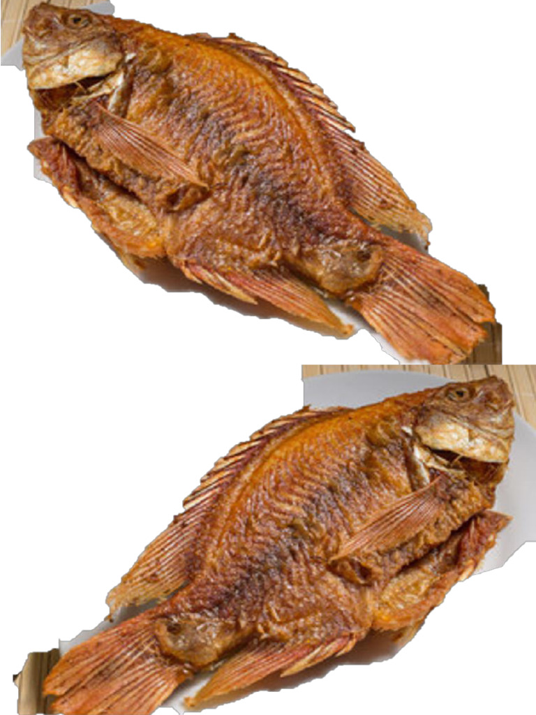 Mojarra | PDF