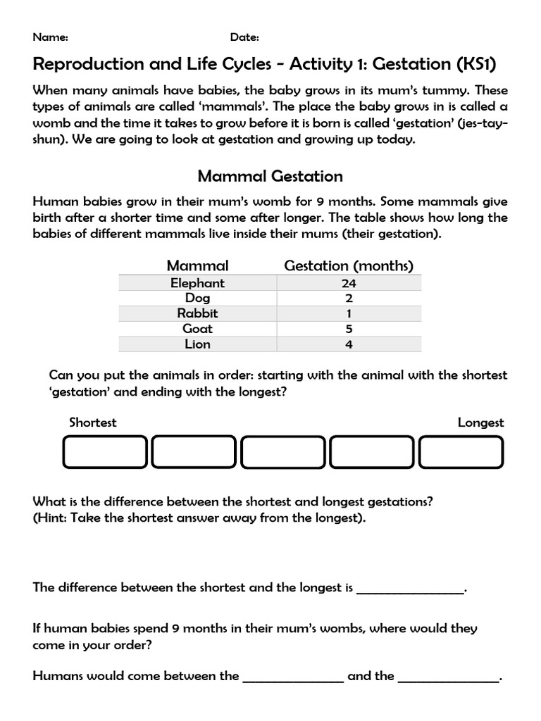 Activity 1 - Maths-Gestation - 2024 | PDF | Mammals