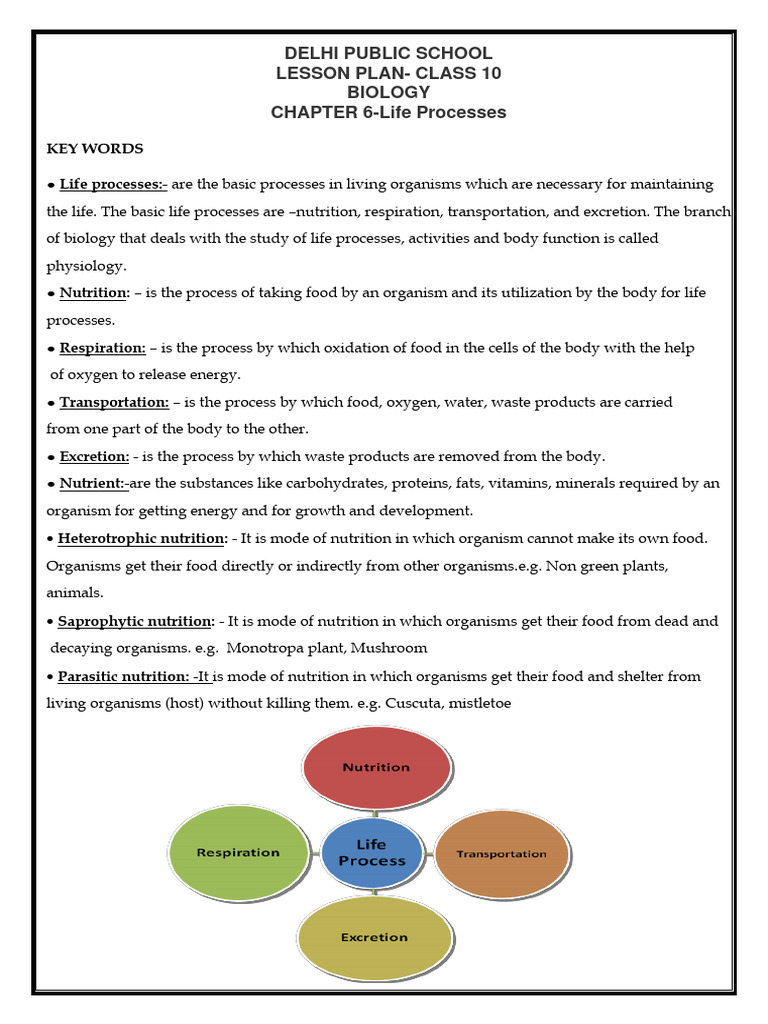 NUTRITION IN PLANTS EXERCISE QUESTION ANSWERS visual data 8