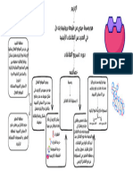 مخطط شامل للإنزيم و خصائصه