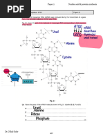 Lesson Plan Grade 10 Mutation | PDF | Genetic Code | Gene