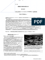 1998 - Yokokawa - A Review For The Preferred Orientation of Sediment Particles (Trad)