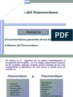 5 Tema Huesos Del Neurocraneo Nuevo