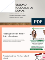 Psicologia Laboral Roles y Funciones