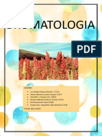 Analisis Nutricional de La Quinua Bromatologia
