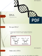 DNA - Prof Caroline Silva