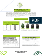 Fruta Cordillera3-5