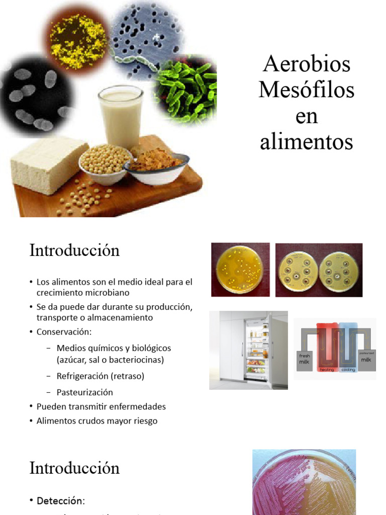 Microorganismos en Alimentos: Impacto y Control | PDF | Alimentos | Agua