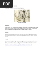 Download All Aboout Gracilaria by rama_shifa SN70165090 doc pdf