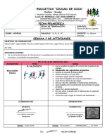 SEMANA 2 Del 15 Al 19 de Enero. 9nos