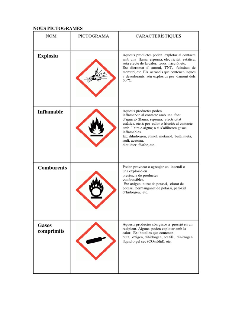 Nous Pictogrames | PDF