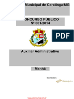 Câmara Municipal de Caratinga/MG: Organizadora