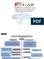 Mapas Conceptuales de Las Unidades I y II Del Curso