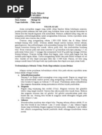 Download sel telur by Nafish Peace SN70166827 doc pdf