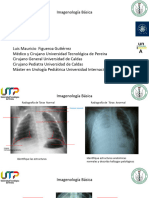 Imagenologia 2024