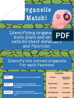 Enrique Cavazos - Intermediate-Organelle Match