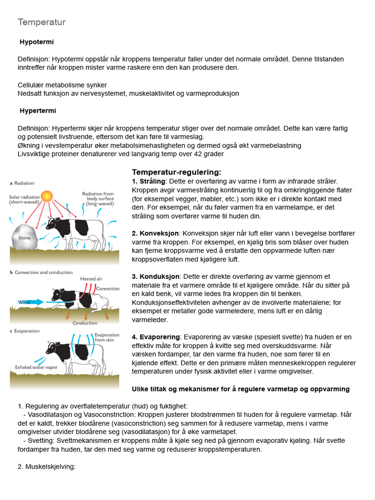 hom-ostase-pdf